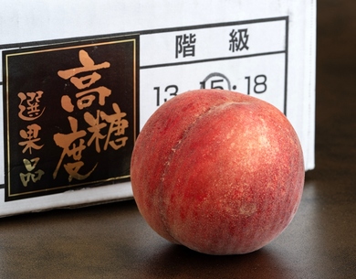 37204.l.1.jpg