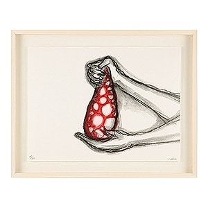 Egon Schiele 1890 - 1918／作者：エゴン・シーレ[] | アート作品 中古