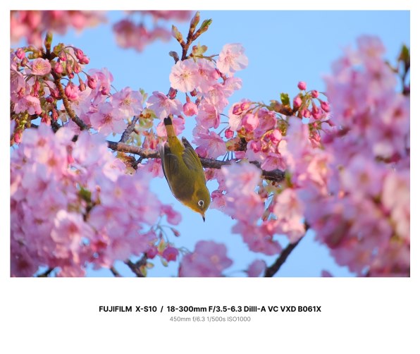 ニコン D7200 ボディ投稿画像・動画 - 価格.com