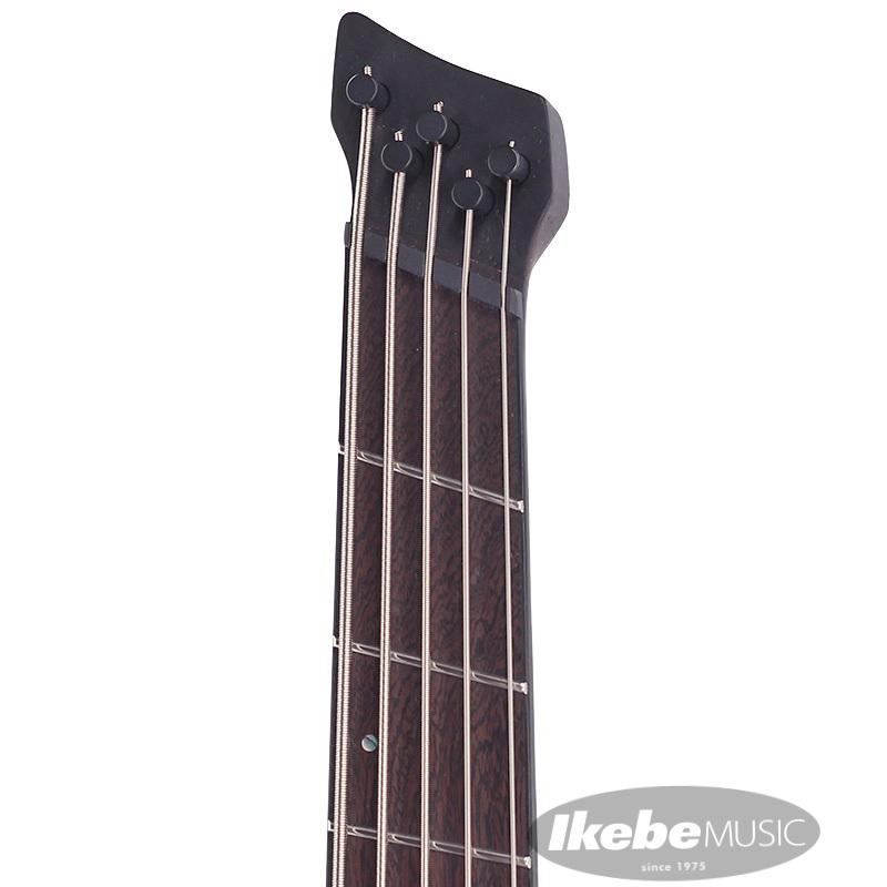 Ibanez（アイバニーズ） Ibanez Bass Workshop EHB1505MS-PLF [マルチ