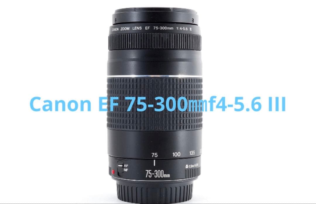 極上品☆Canon ZOOM LENS EF 75-300㎜f4-5.6 III キヤノン（Canon） Canon EF 75-300mm f/4-5.6 III 美品 EFマウント