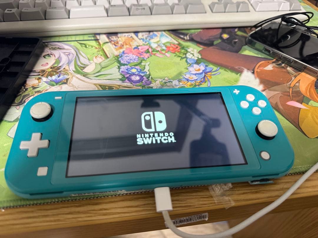 Nintendo Switch Lite ターコイズ 本体 ジャンク Nintendo Switch Lite ターコイズ 本体 ジャンク - メルカリ