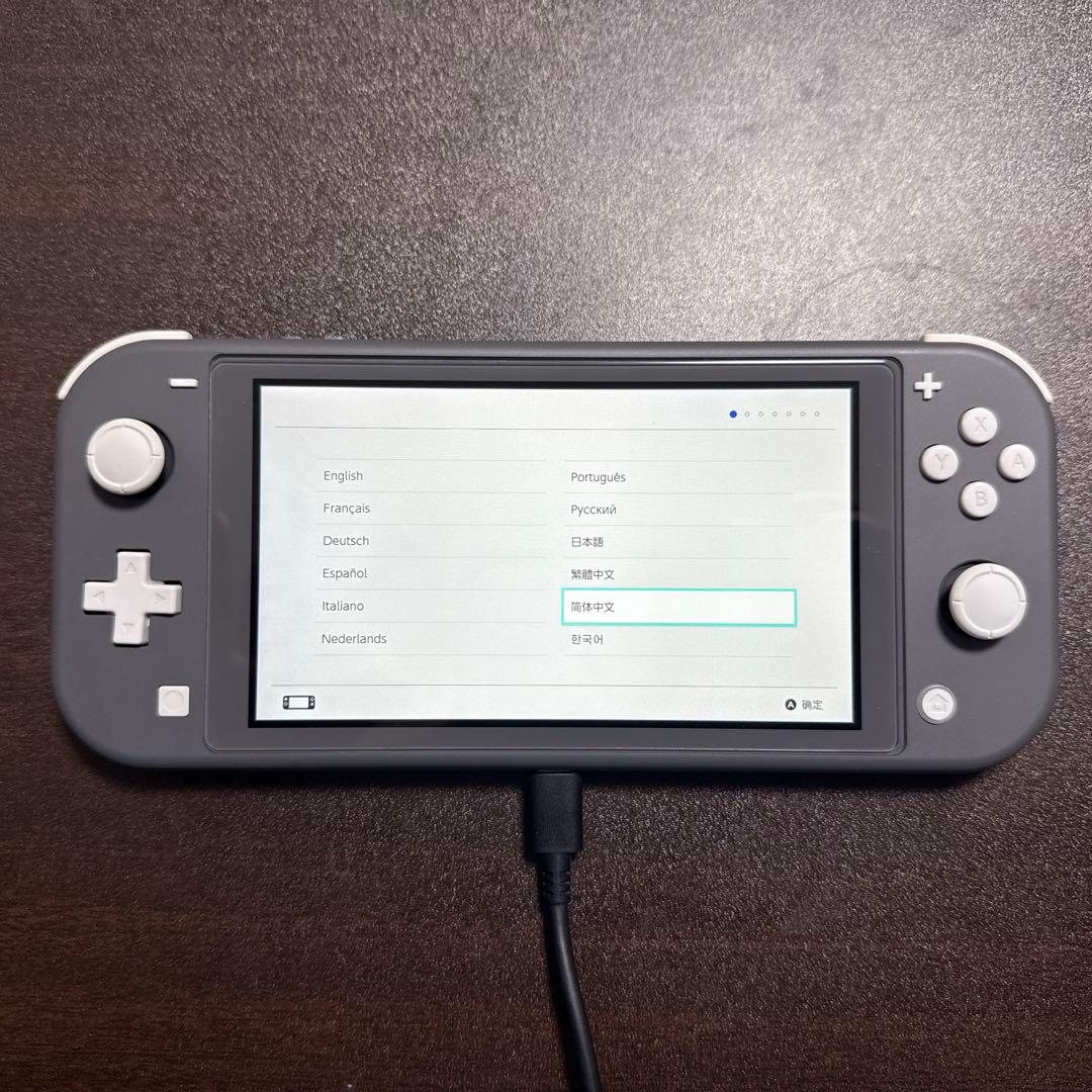 Nintendo Switch Lite グレー 本体のみ、おまけ付き 任天堂 Nintendo Switch Lite グレー Nintendo Switch Nintendo Switch