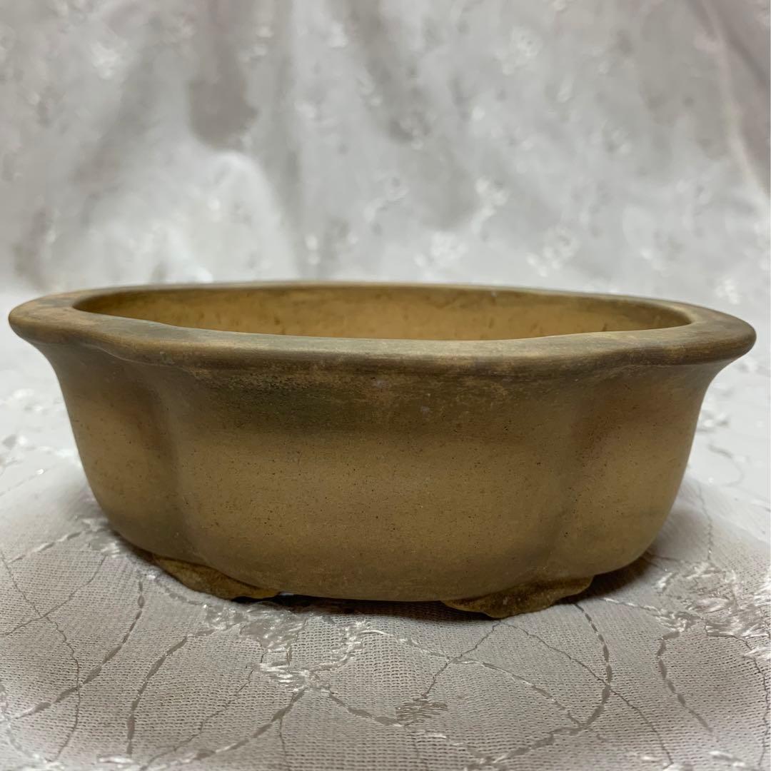 もっこ　盆栽鉢　落款有り 楽天市場】盆栽鉢 陶器 4.5〜5.5号 木瓜鉢 モッコ鉢 おしゃれ 専門店